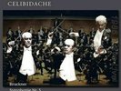 Celibidache Bruckner Symphoniy Nr.5 Limite Edition 3-Disc Analog Record NEW