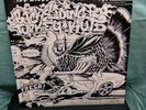 DJ Q-BERT 100 MILES PER HOUR BACKSLIDING TURKEY KUTS RECORD