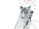 Neko Case - The Tigers Have Spoken NEW Sealed Vinyl LP Album