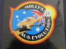 Molly's Aust.Evolution - 1982 Summit Dbl LP-EX AC/DC Skyhooks Zoot Thorpe +
