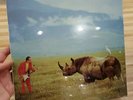 ADRIAN BELEW Lone Rhino New/Sealed LP King Crimson 1982 Island Records 9751