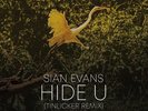 Sian Evans Hide U / Because You Move Me [Double (Vinyl)
