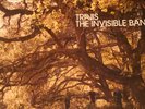Travis - Invisible Band - LP (First Press)