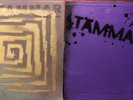 2x TAMMAR 2008 S/T & I Live Here Now St Ives Handmade LTD /300 KY INDIE ROCK OOP