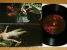 NICK CAVE & THE BAD SEEDS KYLIE MINOGUE - WHERE THE WILD ROSES GROW - EXCELLENT