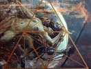 Flamen  Fvror Lvnae LP OOP  Aryan Art Bagatur Pagan Obsession Aryan Blood
