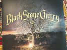Black Stone Cherry Family Tree Gold Vinyl Ex Condition Limited Exclusive