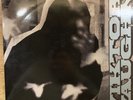 Viktor Vaughn - Vaudeville Villain 2LP  2003 MF Doom