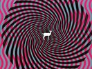 Deerhunter - Cryptograms / Fluorescent Grey - Vinyl Record.. - H4H