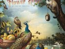 `FLOWER KINGS,THE`-BY ROYAL DECREE VINYL LP NEU