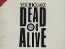 Youthquake Dead Or Alive picture disc LP vinyl  record