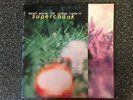 Superchunk Here's Where The Strings Come In Vinyl 1995 Merge Records MRG 090 LP