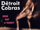 The Detroit Cobras - Mink Rat Or Rabbit (LP, Album, RP)
