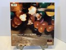 Maxwell Sumthin' Sumthin' - The Mantra Vinyl Record 90s R&B 1996 44-78477