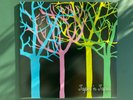 Tapes 'n Tapes	The Loon (VG+) LP Vinyl Schallplatte
