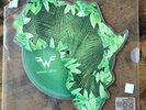 WEEZER AFRICA ROSANNA PICTURE DISC 10