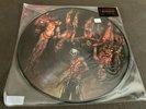 Torture by Cannibal Corpse (Vinyl Record, 2013) Picture Disc