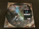 The  Serenity of Suffering by Korn (Picture Disc Vinyl, Oct-2016, Roadrunner)