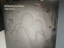 RARE Kate Bush -- 50 Words For Snow -- LP Orig Press 2011