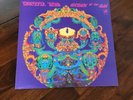 The Grateful Dead - Anthem Of The Sun US LP 1983... MINT