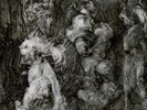 Mark Lanegan Duke Garwood With Animals Vinyl LP 2018 NEU