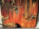 Slayer Hell Awaits LP