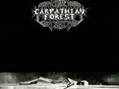 Carpathian Forest - Black Shining Leather LP - 180 Gram Vinyl Album METAL RECORD
