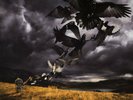 David Gilmour ‎– Rattle That Lock - Vinyl LP Sealed
