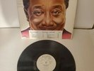Muddy Waters - I'm Ready LP Blue Sky WLP White Label Promo