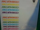 THE LATIN BREED: Mas Latin Breed, Used Tejano Vinyl, Tex Mex, FREE SHIPPING