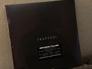 T R A P S O U L by Bryson Tiller (Record, 2021)