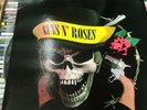 Guns N Roses Skulls N Bones Lp Picture Disc