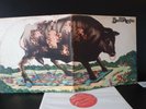VG/VG Bull Angus Original USA Mercury Records Gatefold Hard Rock Psych cvr wear