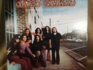 Lynyrd Skynyrd – (Pronounced 'Lĕh-'nérd 'Skin-'nérd) 1977 MCA-3019 LP VG/VG