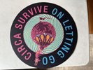 Circa Survive Vinyl Slipmat On Letting Go - Rare