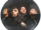 Pierce the Veil Collide with the Sky Vinyl Picture Disc LP Record Fearless