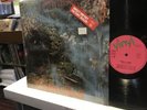 Stefan Zauner   Prism & Views   LP   1st Press   In Shrink   Krautrock