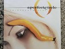 A Perfect Circle - Thirteenth Step - 2014, EU- Vinyl, 2xLP, RI, 180Gram