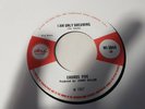 CHORDS FIVE: i am only dreaming universal vagrant ISLAND MOD 7