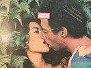 RARE LATIN BOSSA SAMBA MPB LP JARDS MACALE CONTRASTES OG BRAZIL SOM LIVRE 1977