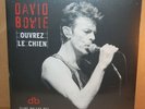 David Bowie NEW Brilliant Live Adventures 2 LP vinyl record Ouvrez Le Chien 1995