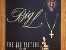 Big L - The Big Picture - OG pressing 2xLP