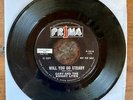 Gary and the Knight Lites Will You Go Steady Prima P-1016 DJ Promo
