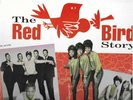 RED BIRD STORY VOL. 1-CHARLY 2 LP SET-32 CUTS-AD LIBS/SHANGRI LAS/JELLY BEANS