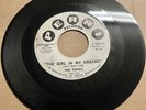 The Topics with Frankie Valli 1962 DOOWOP 45 The Girl In My Dreams PERRI M- HEAR