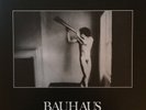 Bauhaus – In The Flat Field  - Remastered Bronze Vinyl LP New Sealed