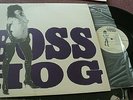 BOSS HOG DRINKIN LECHIN & LYIN LP ALTERNATIVE GARAGE ROCK FROM 1989 VG+ VINYL