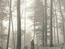 TAYLOR SWIFT FOLKLORE DOUBLE LP VINYL 2LP 'in the trees brown' vinyl in gatefold