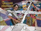 John Fahey: The Yellow Princess (1x LP 180g)