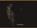 LAMBCHOP SHOWTUNES (Vinyl) 12